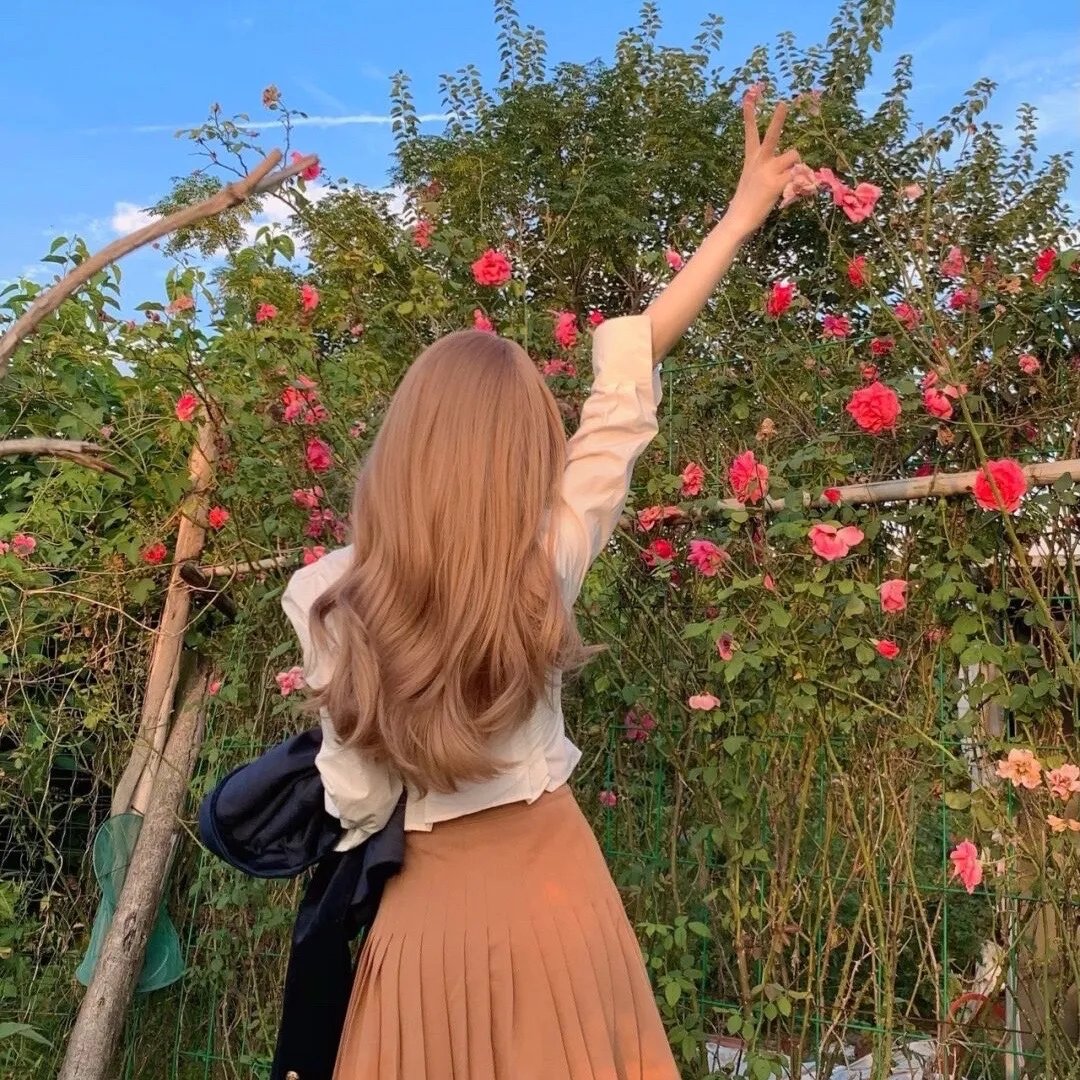 猎罪图鉴之插翅难逃